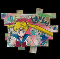 Tableau pop art Sailor Moon