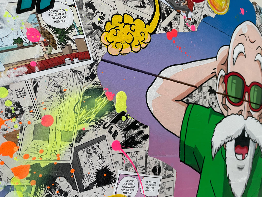 Tableau pop art tortue génial DBZ