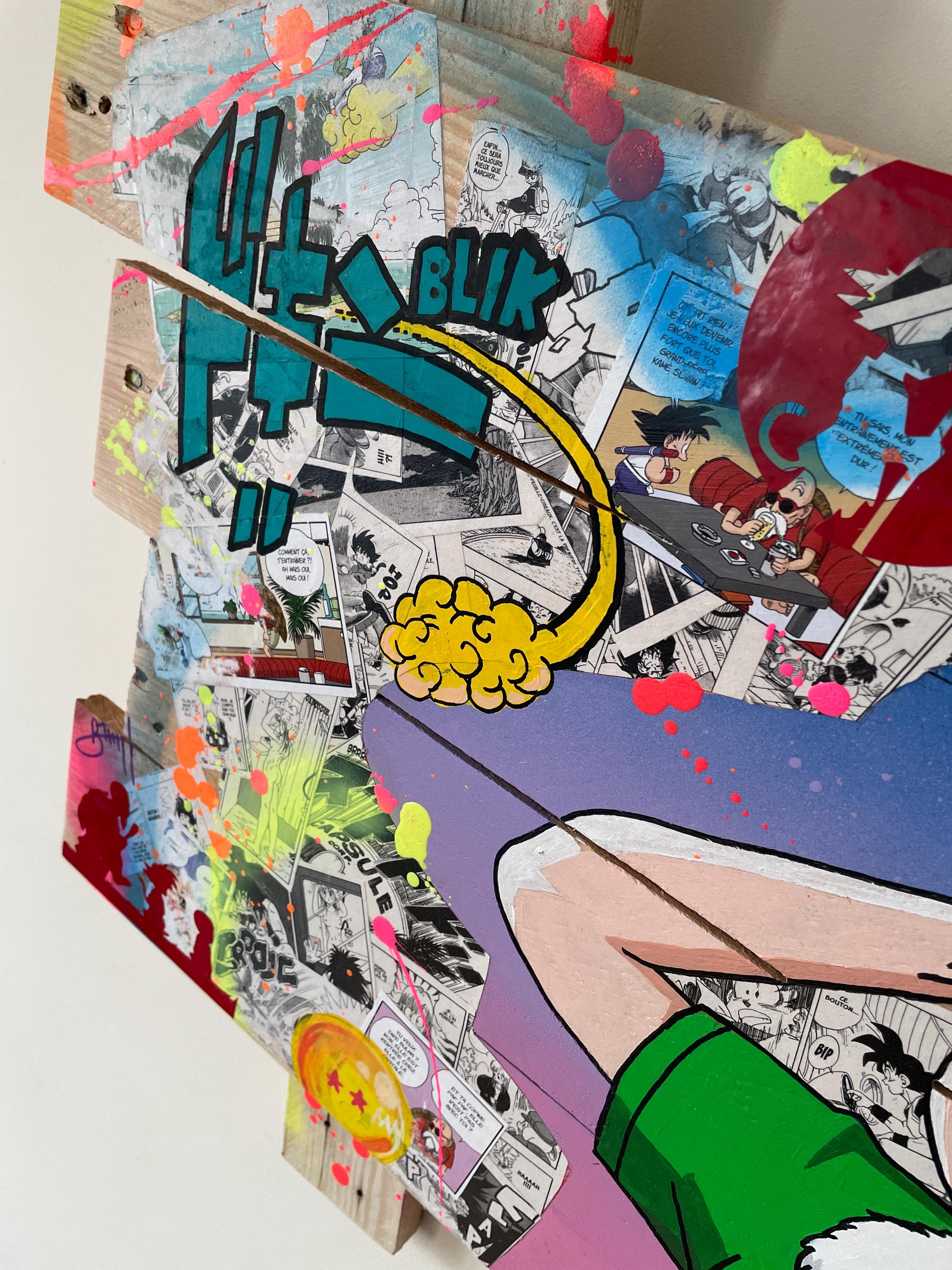 Tableau pop art tortue génial DBZ